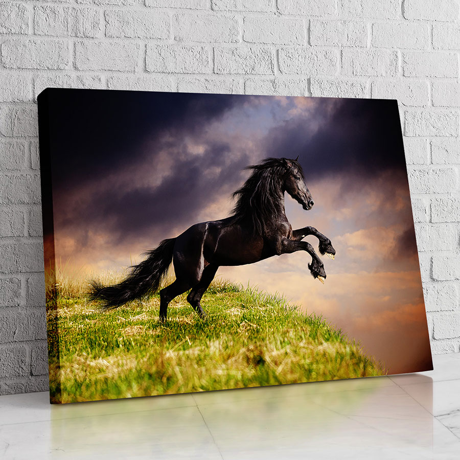 Caballo del Ocaso