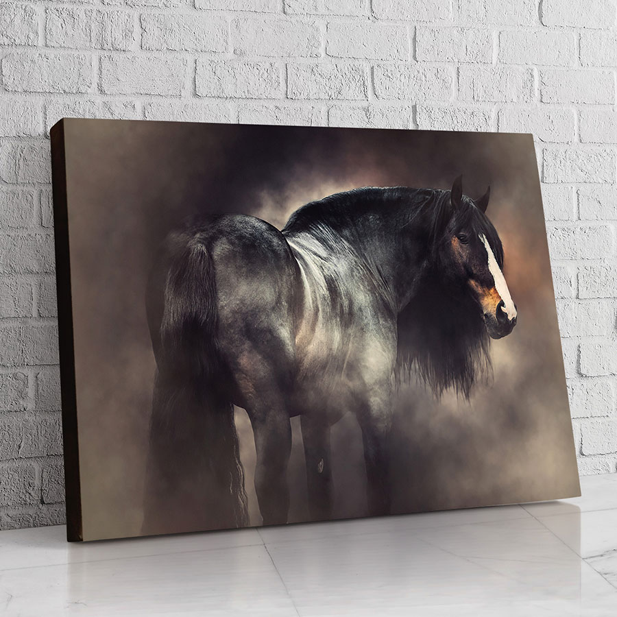Caballo de la Niebla Oscura