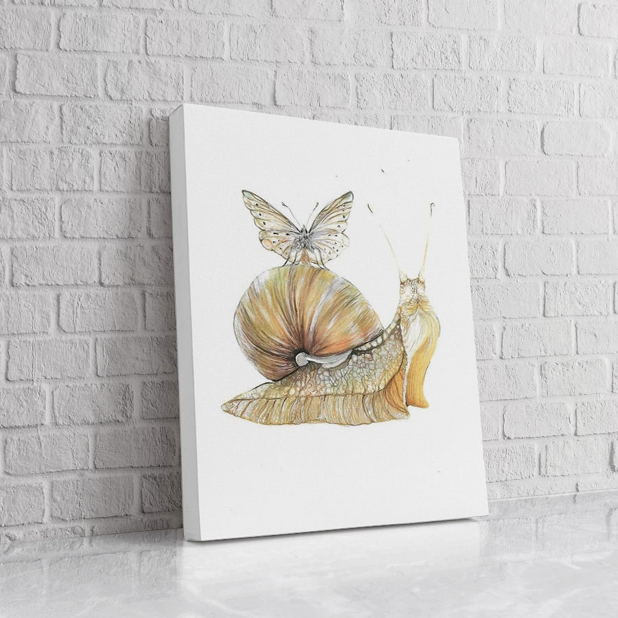 Caracol y Mariposa
