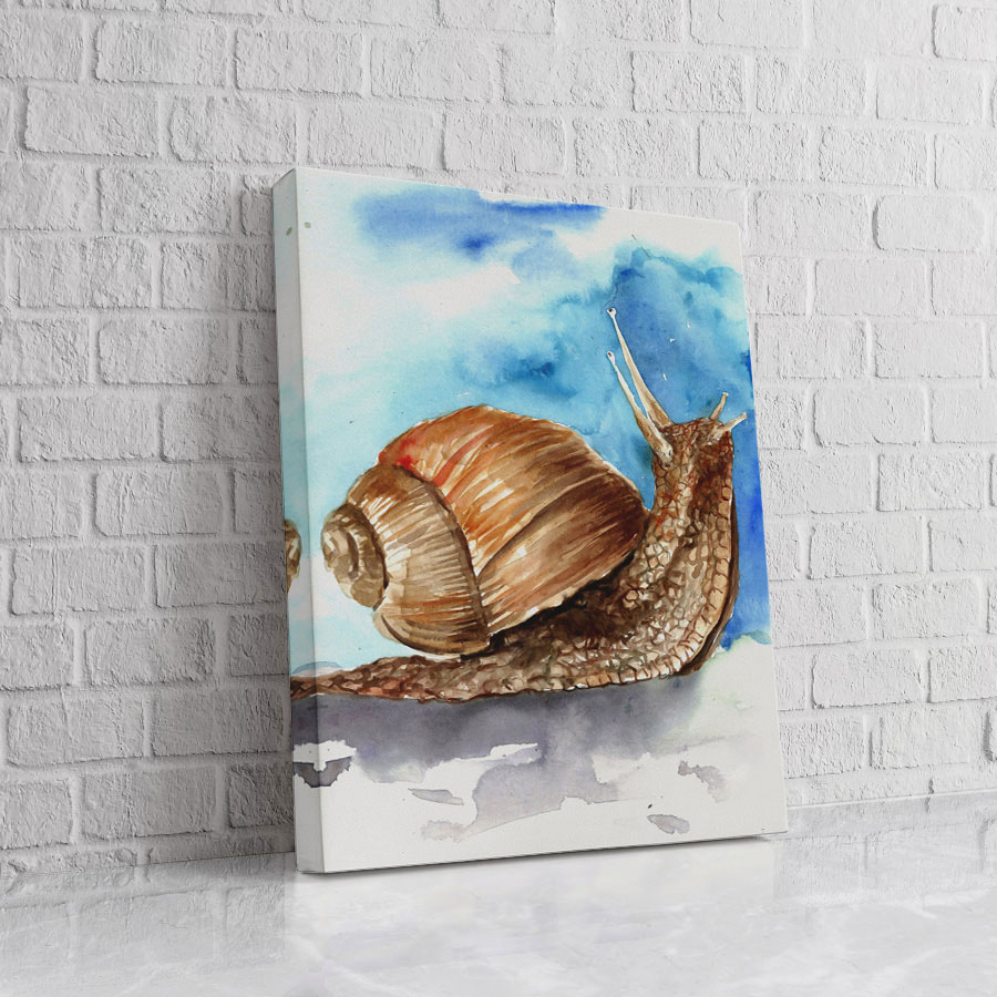 Caracol Marino Acuarela