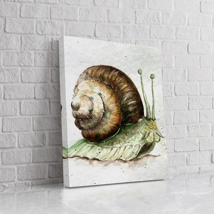 Caracol de la Hoja