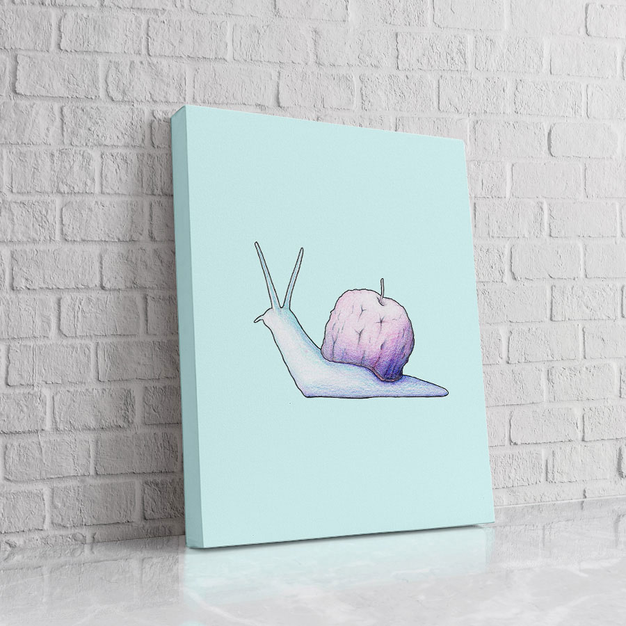 Caracol Minimalista Lila