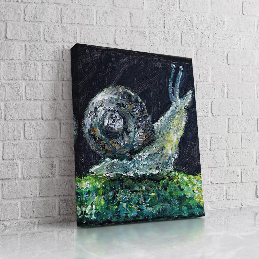 Caracol Cósmico