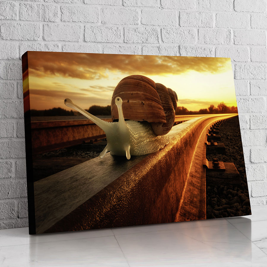Caracol del Atardecer