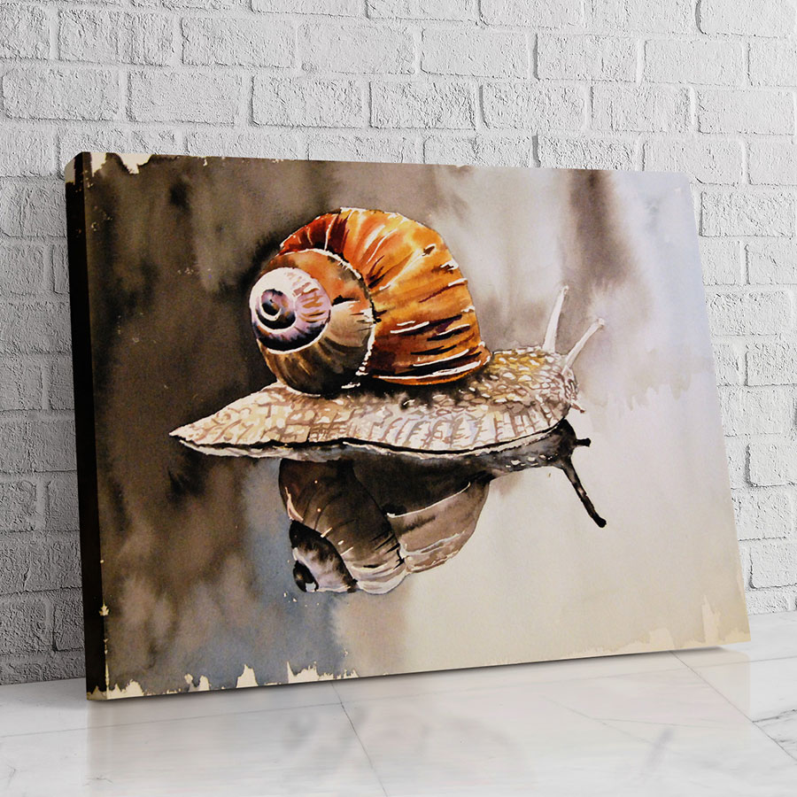 Caracol de la Corteza