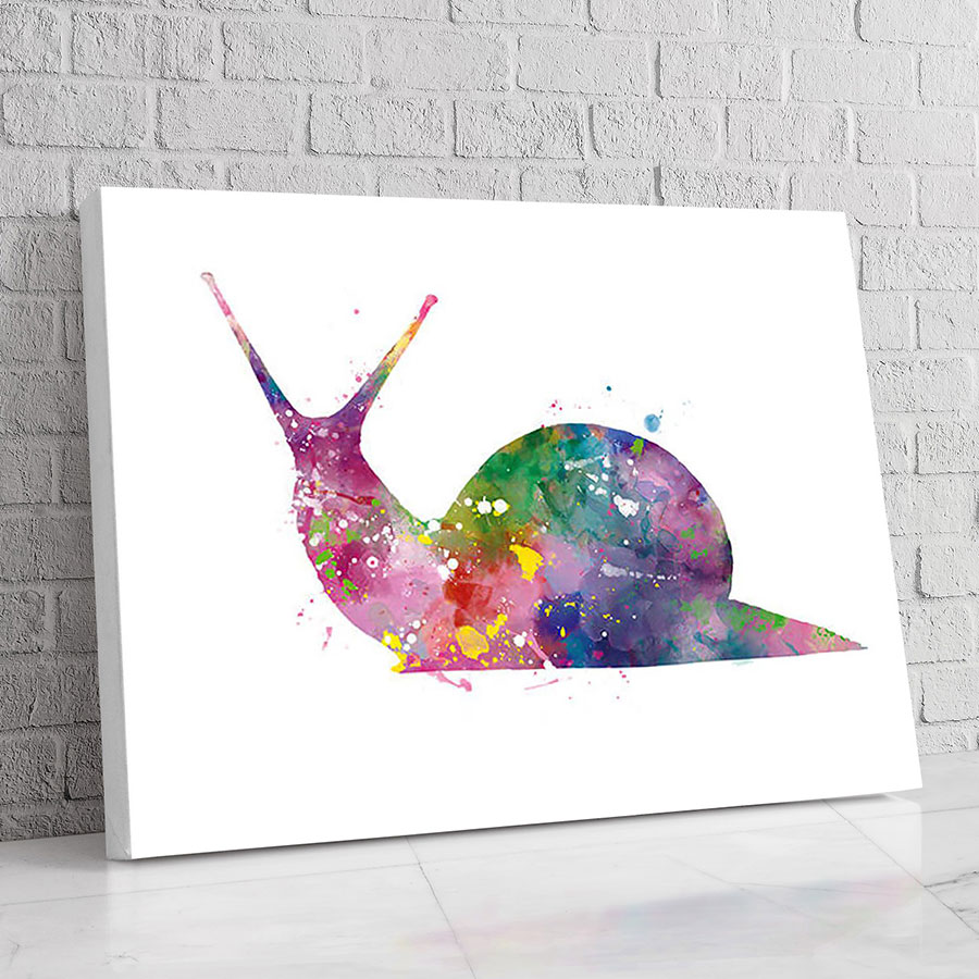 Caracol Acuarela