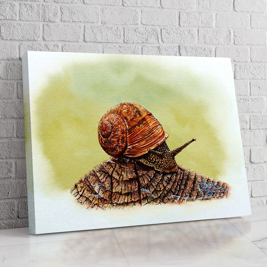 Caracol Acuarela Tierra