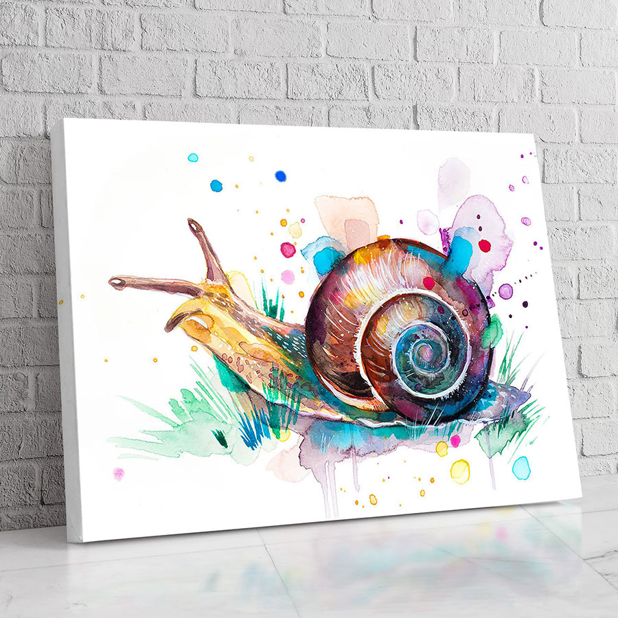 Caracol de Colores