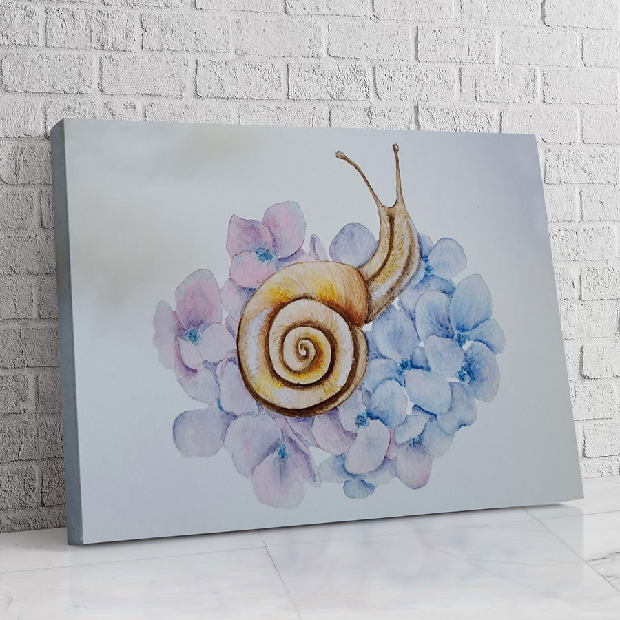 Caracol Floral Pastel