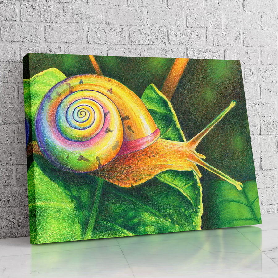 Caracol Espiral Verde