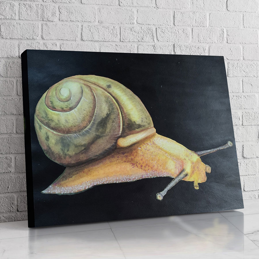 Caracol de Jade