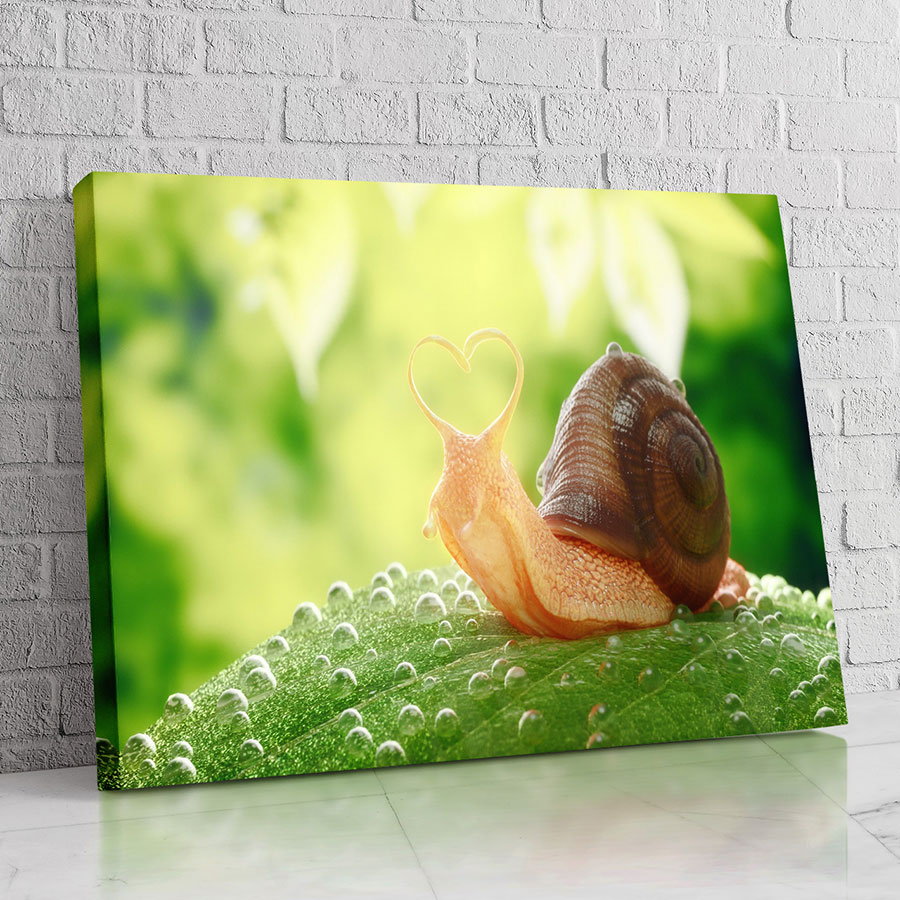 Caracol entre Rocío