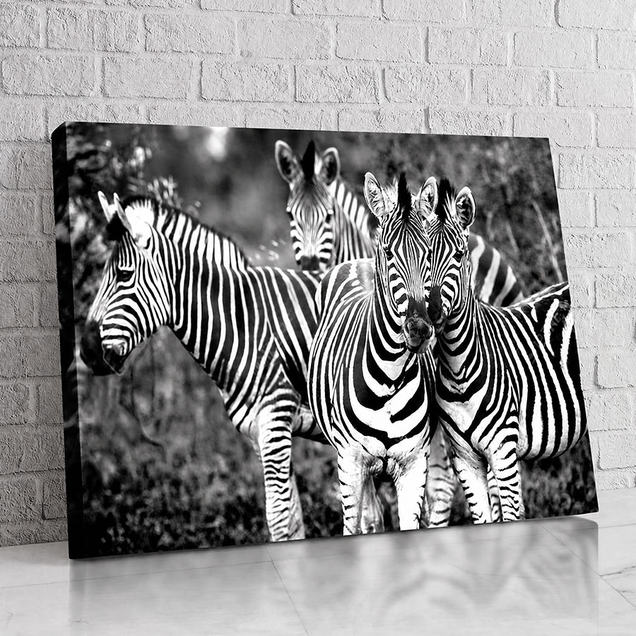 Cebras del Serengeti