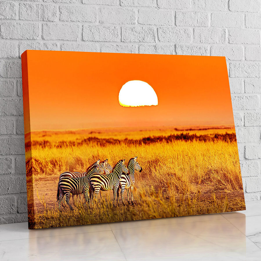 Cebras del Atardecer