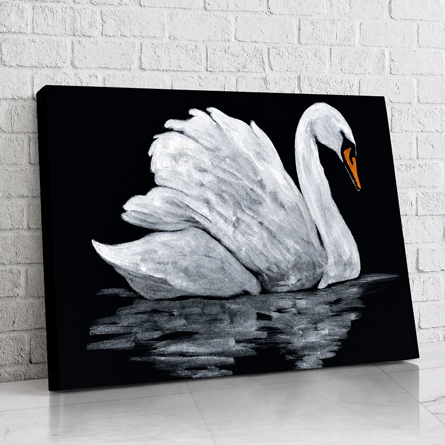 Cisne Blanco Nocturno