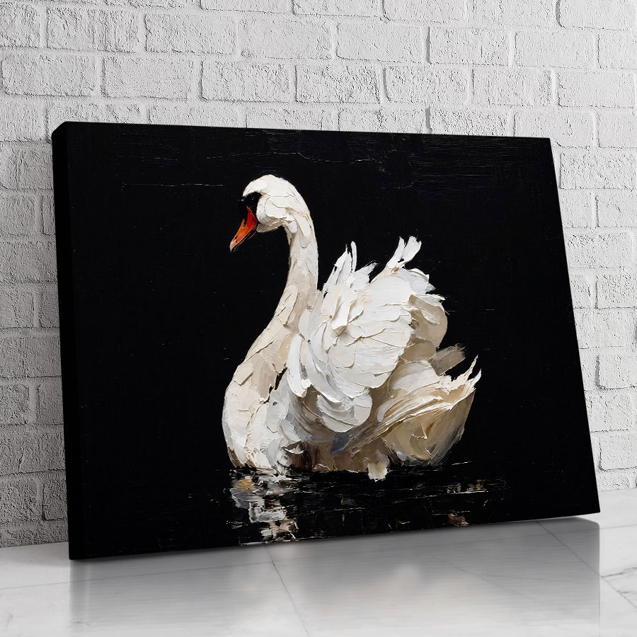 Cisne Noche Elegante