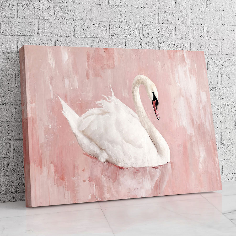 Cisne Rosa Sereno