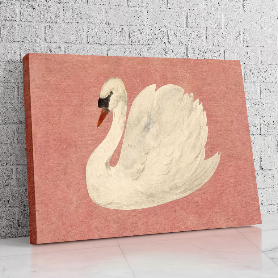 Cisne Silueta Rosa