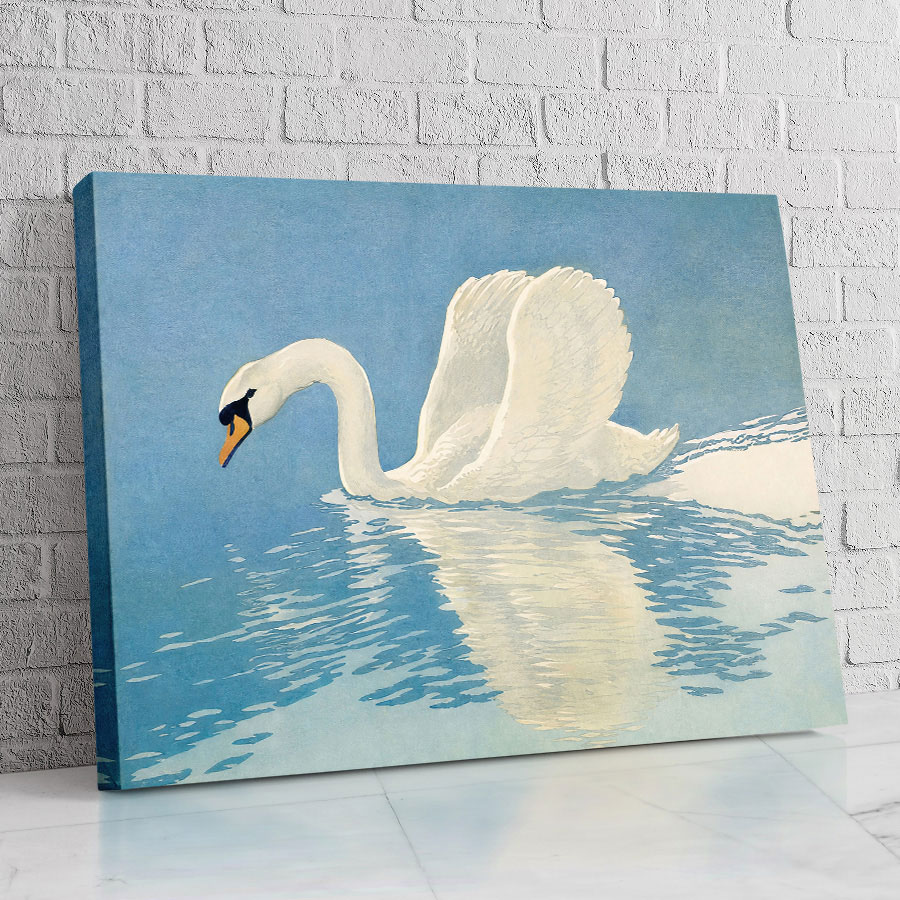 Cisne Lago Celeste