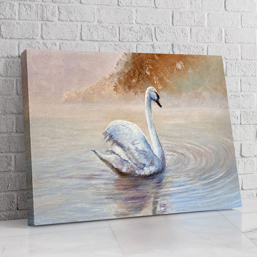 Cisne Amanecer de Niebla