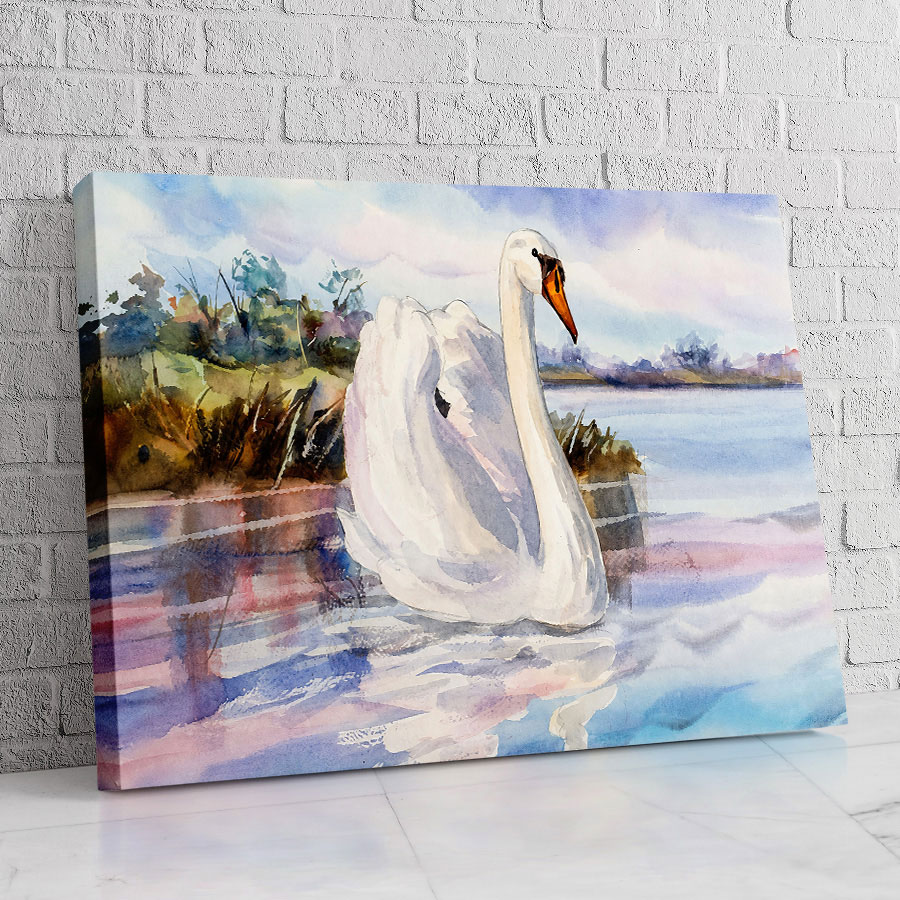 Cisne Lago de Primavera