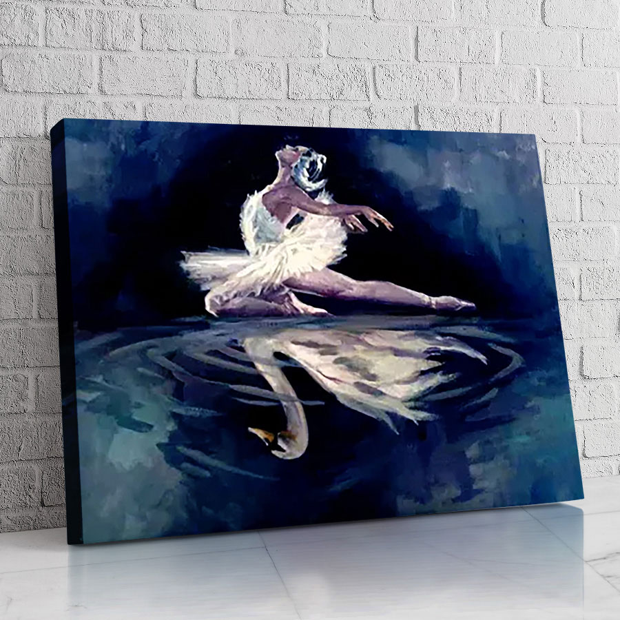 Cisne Bailarina Nocturna