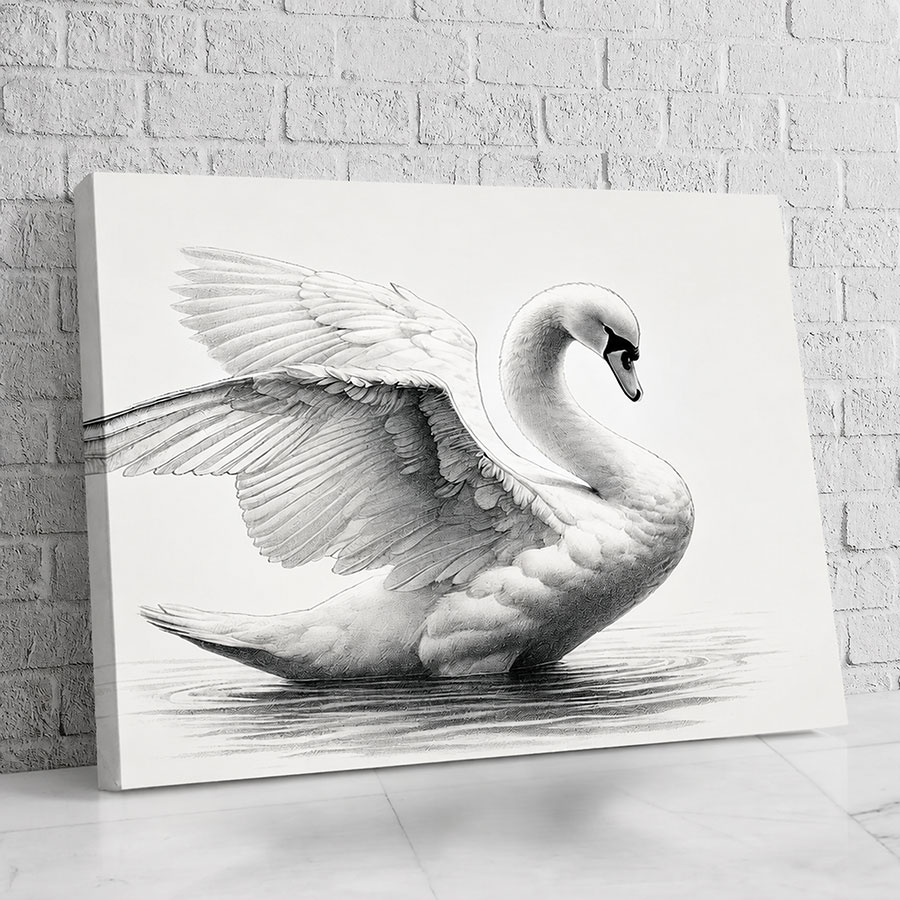 Cisne Boceto Elegante