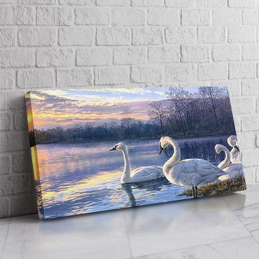Cisnes Lago Lavanda