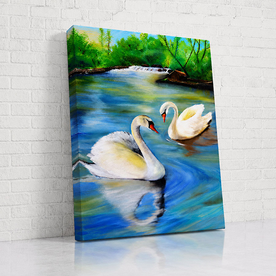 Cisnes Río Azul