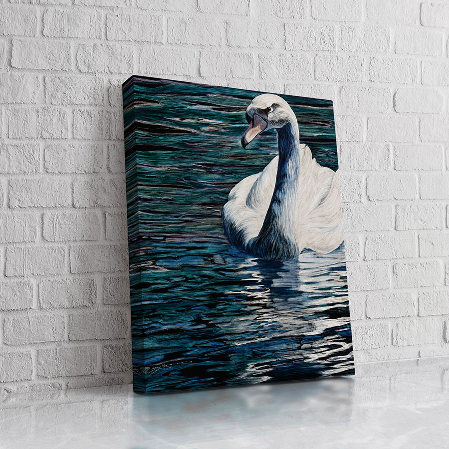 Cisne Nocturno Azul