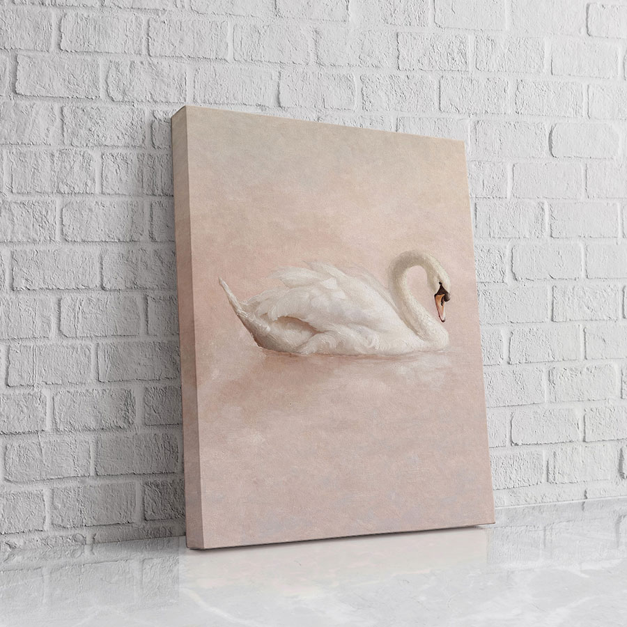 Cisne Relieve Suave