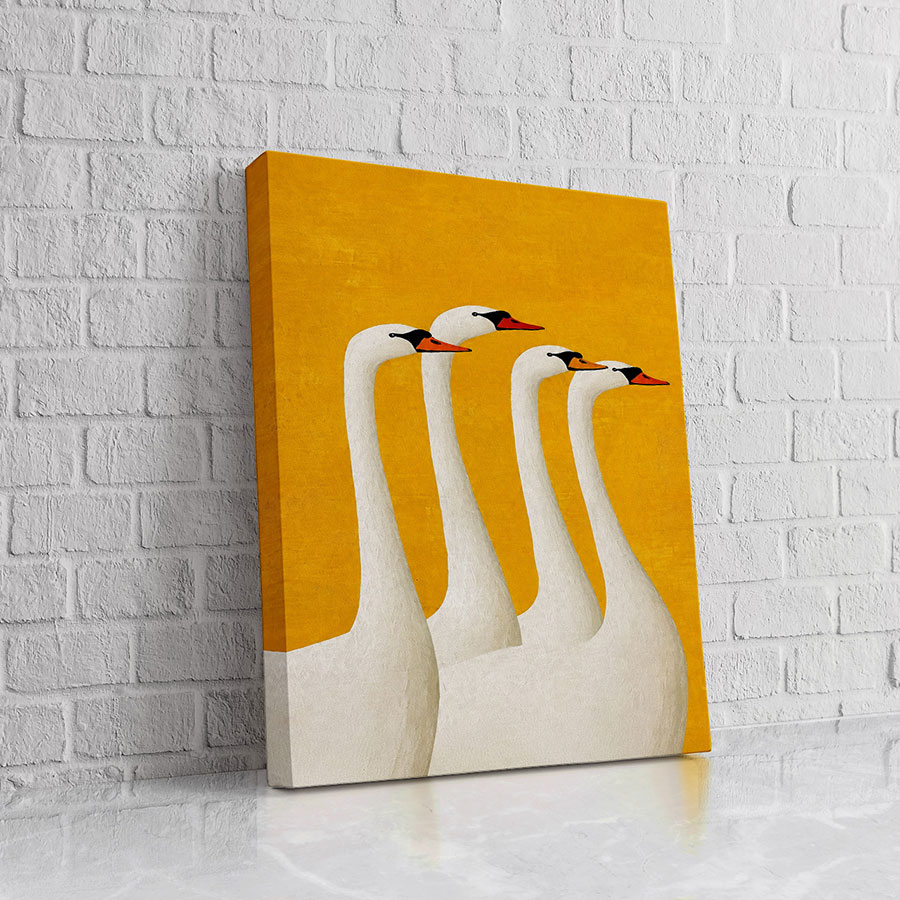 Cisnes Cuellos Minimalistas