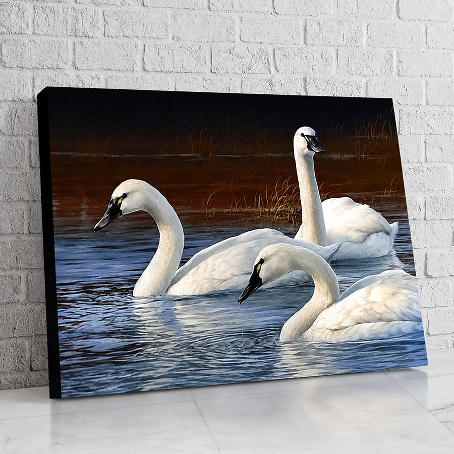 Cisnes del Lago Azul