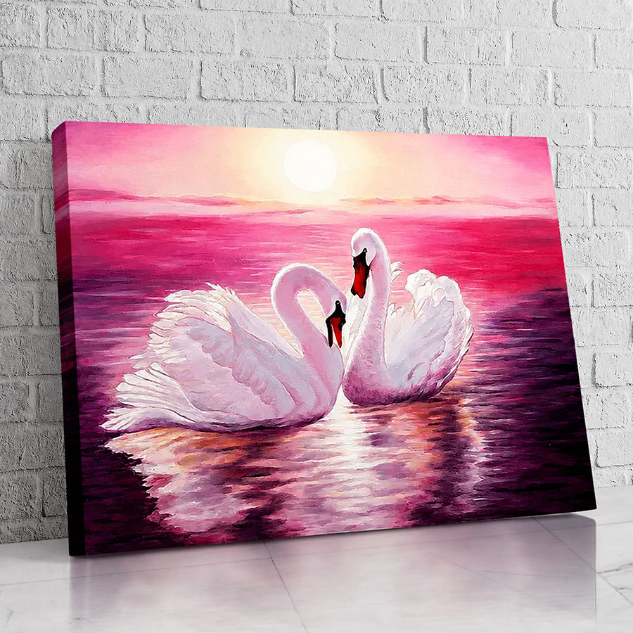 Cisnes Atardecer Rosa