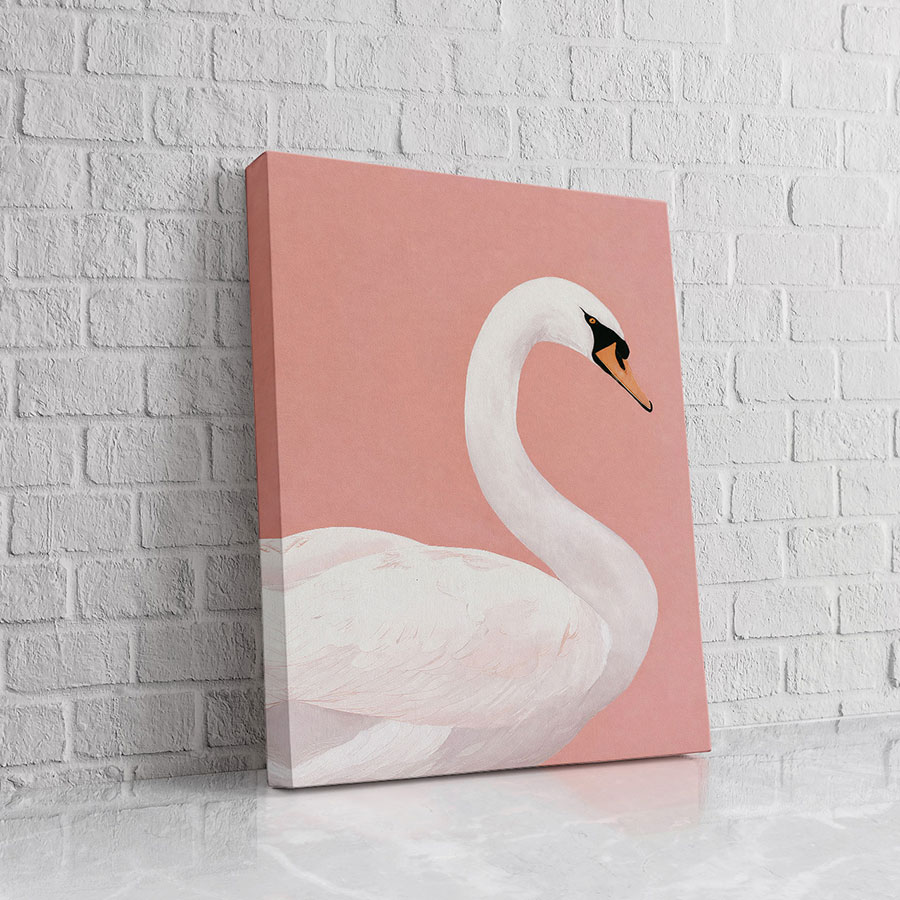 Cisne Blanco Rosa