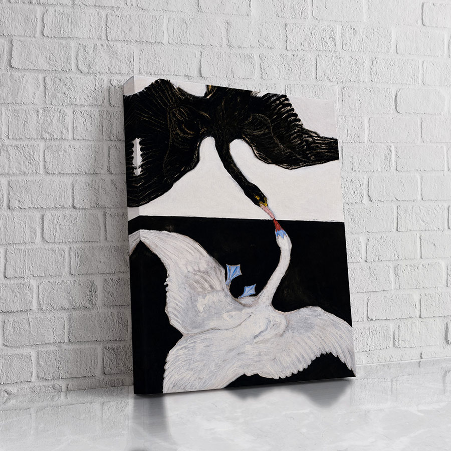 Cisnes Yin Yang