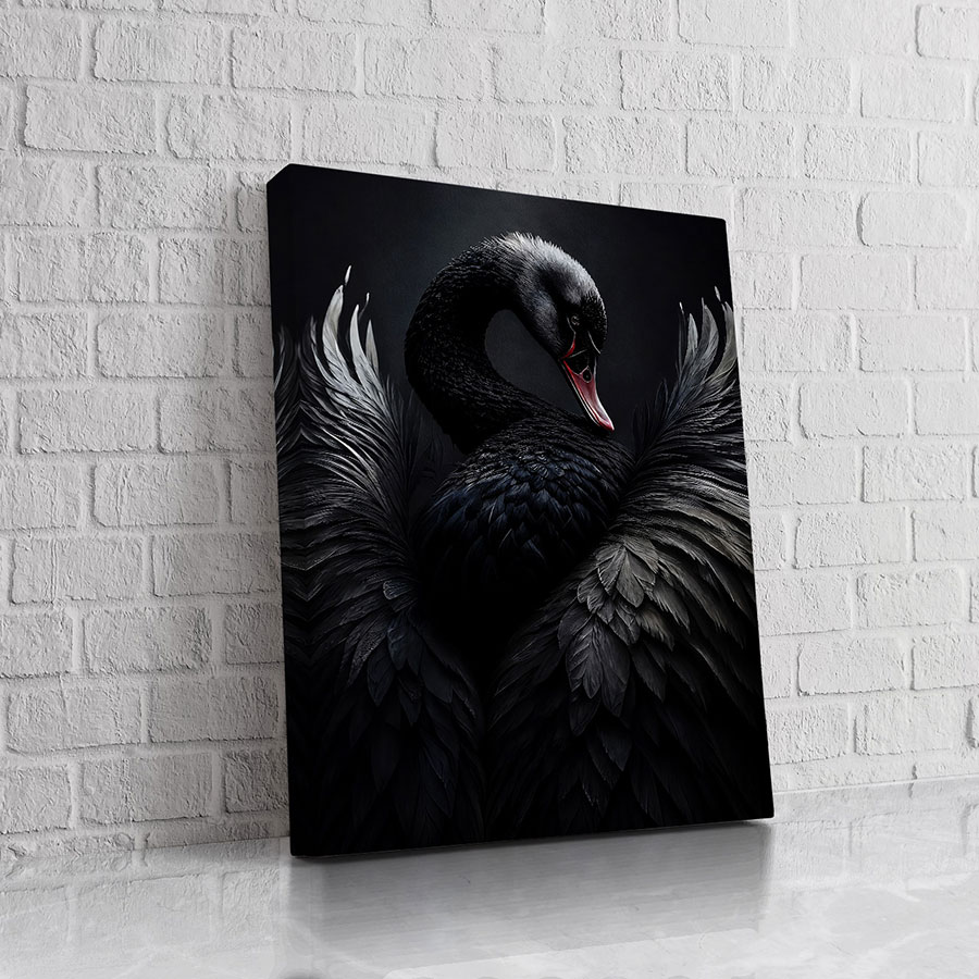 Cisne Negro Majestuoso