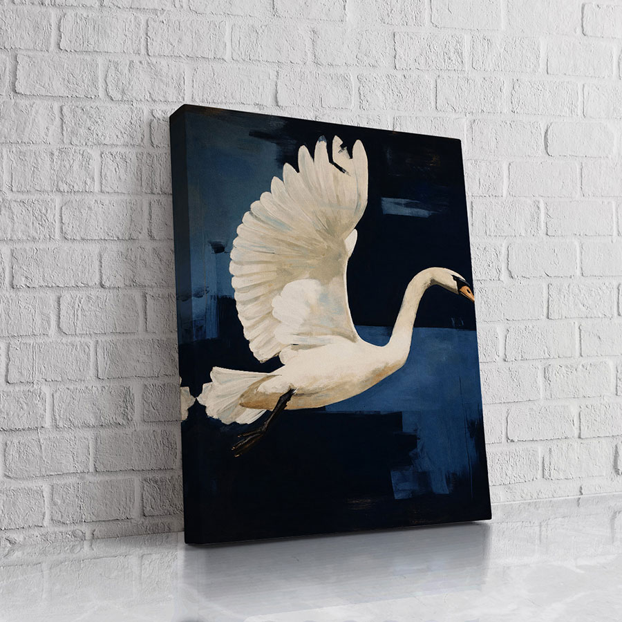 Cisne Vuelo Nocturno