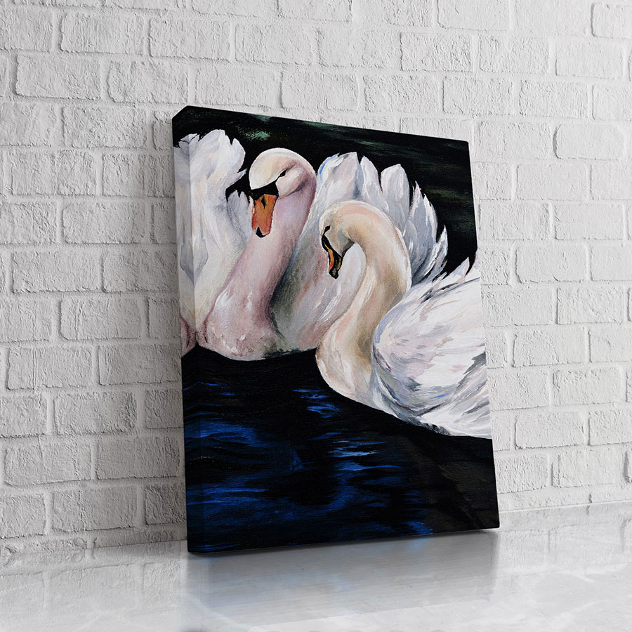 Cisnes Danza Nocturna