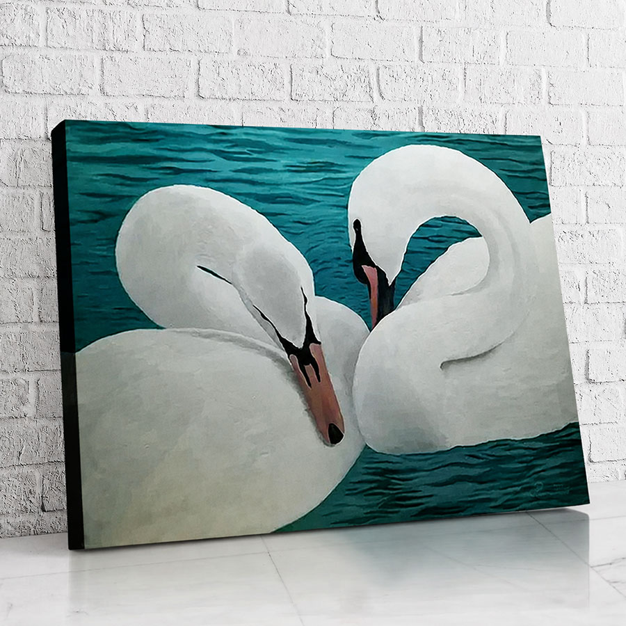 Cisnes Abrazo Sereno