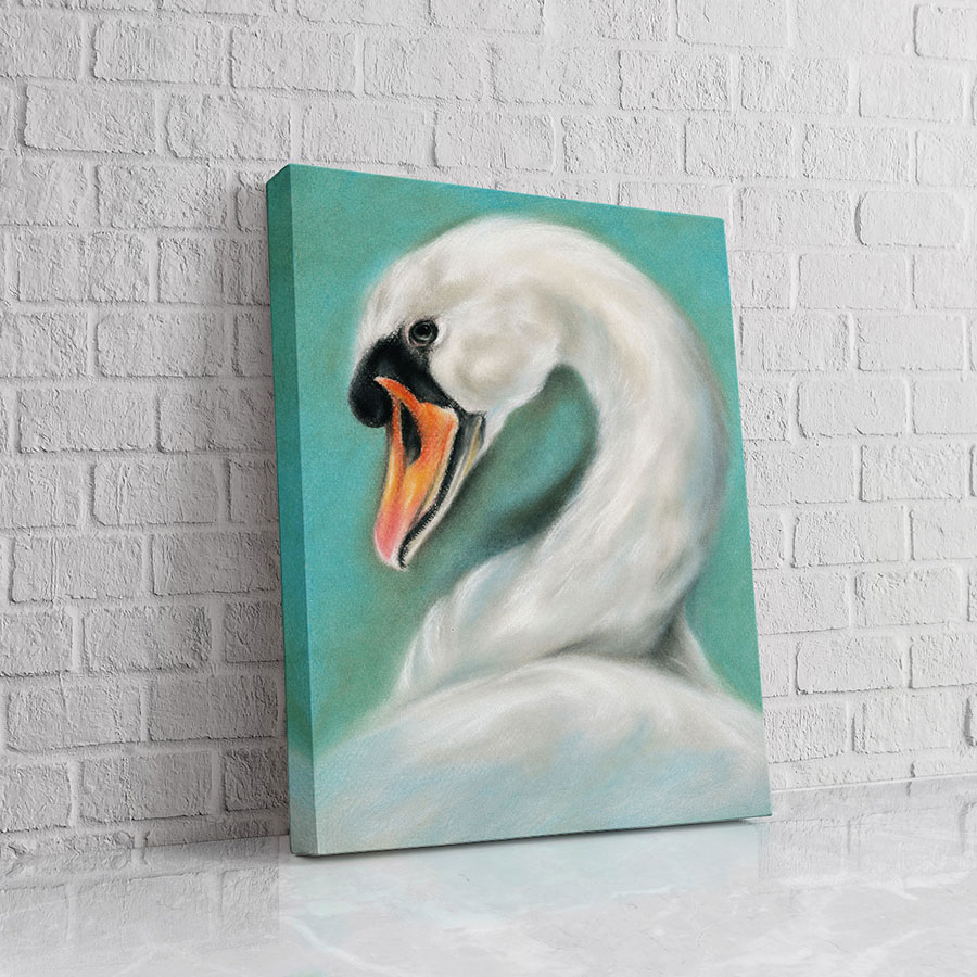 Cisne Retrato Aqua